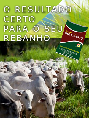 nutripasto_bioseeds